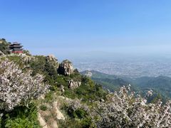 -泰山风景名胜区