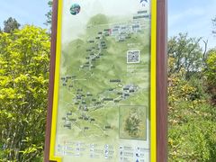 -皇藏峪国家森林公园