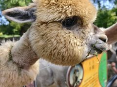 -鄂尔多斯野生动物园