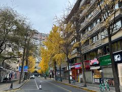 -奎星楼街