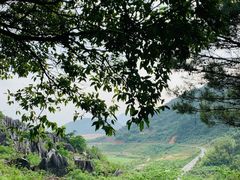 -玉石林风景区