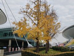 -世博源公馆·本帮融合菜·主题包厢·江景餐厅