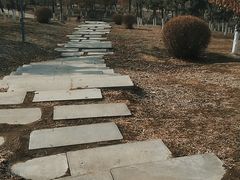 -莫子山公园