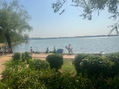 -丁香湖公园