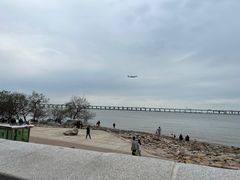 -宝安西湾红树林湿地公园