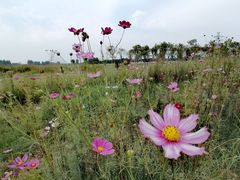 -汉长安城未央宫国家考古遗址公园