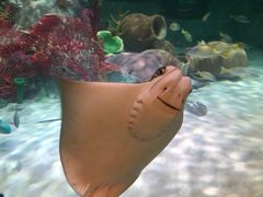 -沈阳海洋探索中心