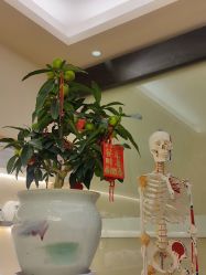 -颜和骨正·明哲式骨相美学整骨