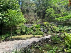 -深圳仙湖植物园