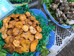 -佳缘野生菌食府