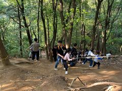 -灵岩山风景区