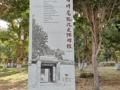 -敦煌莫高窟