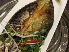 -火肆高麗火盆