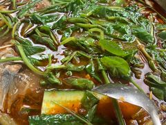 -大理.老字号渝记酸萝卜乌鱼(古城总店)