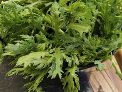 -小牛海记潮汕牛肉店(永定路店)