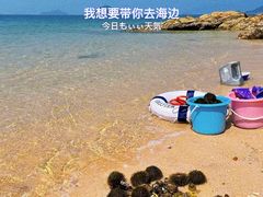 -巽寮湾