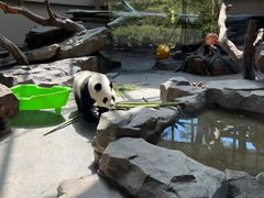 -宁波野生动物园