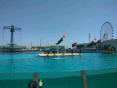 -秦皇岛乐岛海洋王国