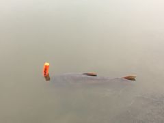 -美兰湖景区