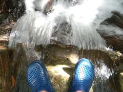 -羚羊峡古栈道森林公园