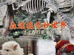 -森波拉奇妙世界