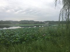 -北京红螺园饭店