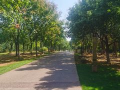 -盘龙城国家考古遗址公园