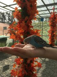 -萌宠亲子动物乐园(槐房万达店)