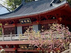 -飞霞风景名胜区