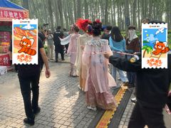 -仁和公园(顺义区)