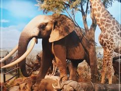 -陕西自然博物馆