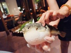 -肆月河豚·淮扬菜·湘菜(华天店)