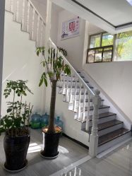 -痘博士昆明·国际祛痘领跑品牌