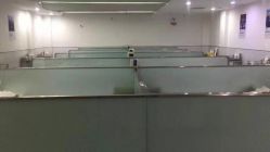 -悟空祛痘