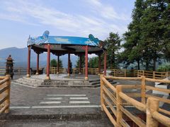 -紫鹊界梯田景区