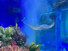 -成都浩海立方海洋公园