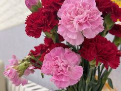 -来之顺海鲜菜馆·青岛菜(栈桥店)