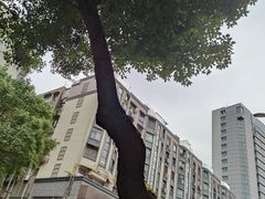 -江西省人民医院(爱国路院区)