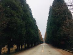 -山王坪喀斯特国家生态公园
