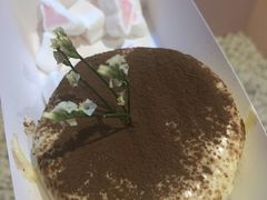 -狐狸和向日葵(北京路店)