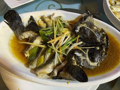 老虎斑-富港会·海鲜酒楼(墟沟店)