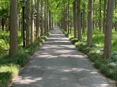 -上海怡沁园度假酒店