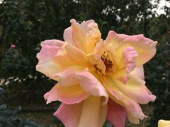 -人民公园(罗湖区)