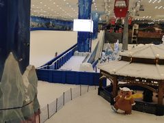 -长沙湘江冰雪世界