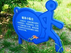 -大兴滨河森林公园