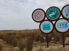 -盐城丹顶鹤湿地生态旅游区