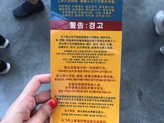 -飞天翼龙