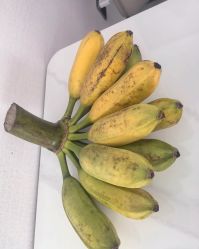 -宝生月子中心(独栋园林·福田店)