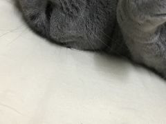-萌兽医馆·绝育·24小时内科·宠物医院(德胜店)