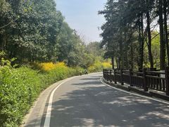 -游子山休闲旅游区